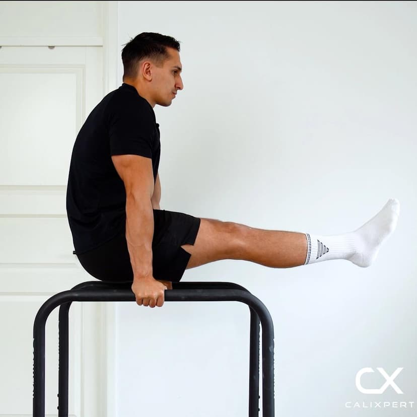 Dip Bar Leg Raises to L-Sit Hold