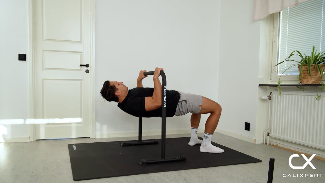Bodyweight Rows / Australian Rows