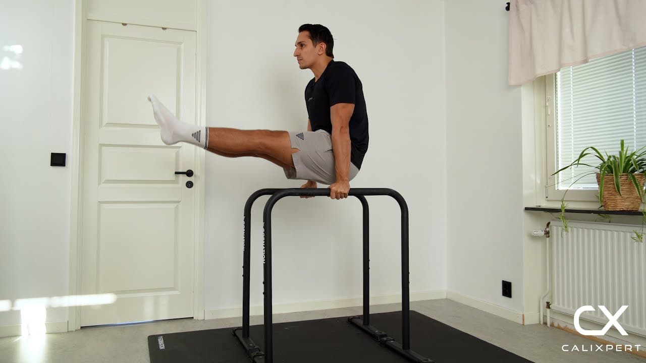 Dip Bar Leg Raises